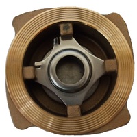 DCV zawór zwrotny Spirax Sarco